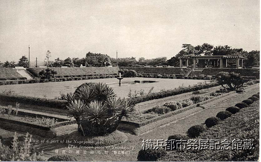 野毛山公園の花壇