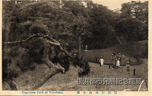 横浜野毛山公園