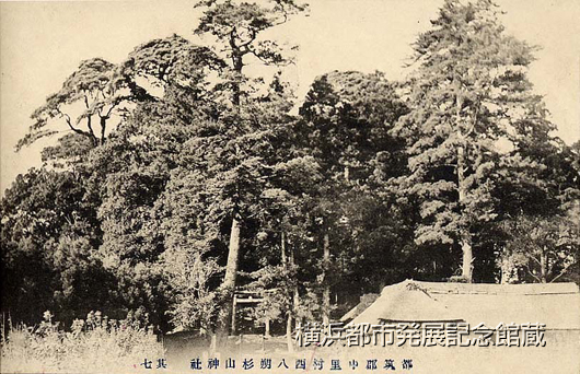 都筑郡中里村西八朔杉山神社　其七