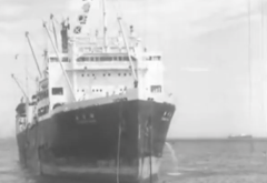 1-05 極洋捕鯨船団初入港（昭和30年10月19日）